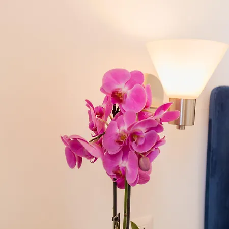 Konukevi Blu Parthenope